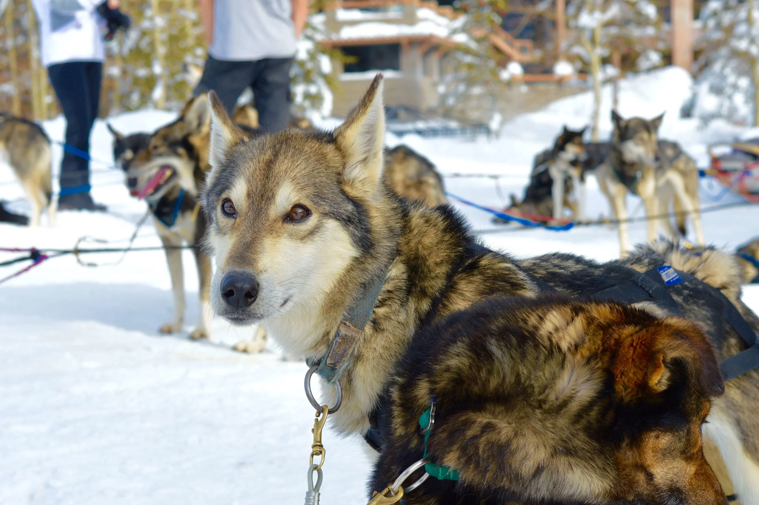 DSC_0369.jpg