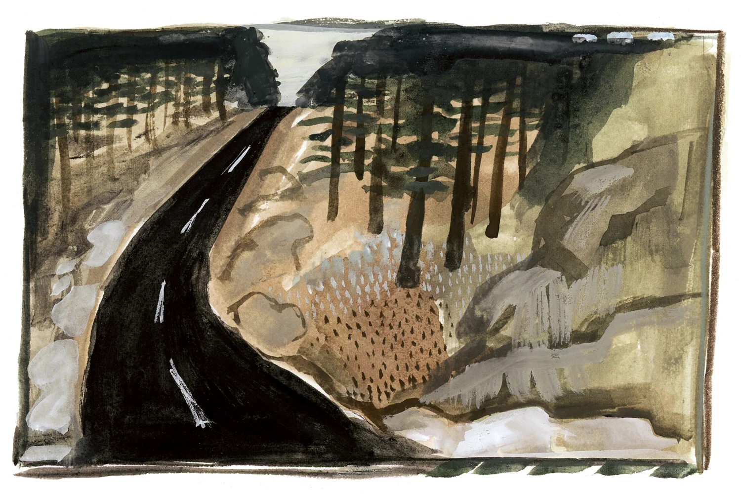 Forest Road