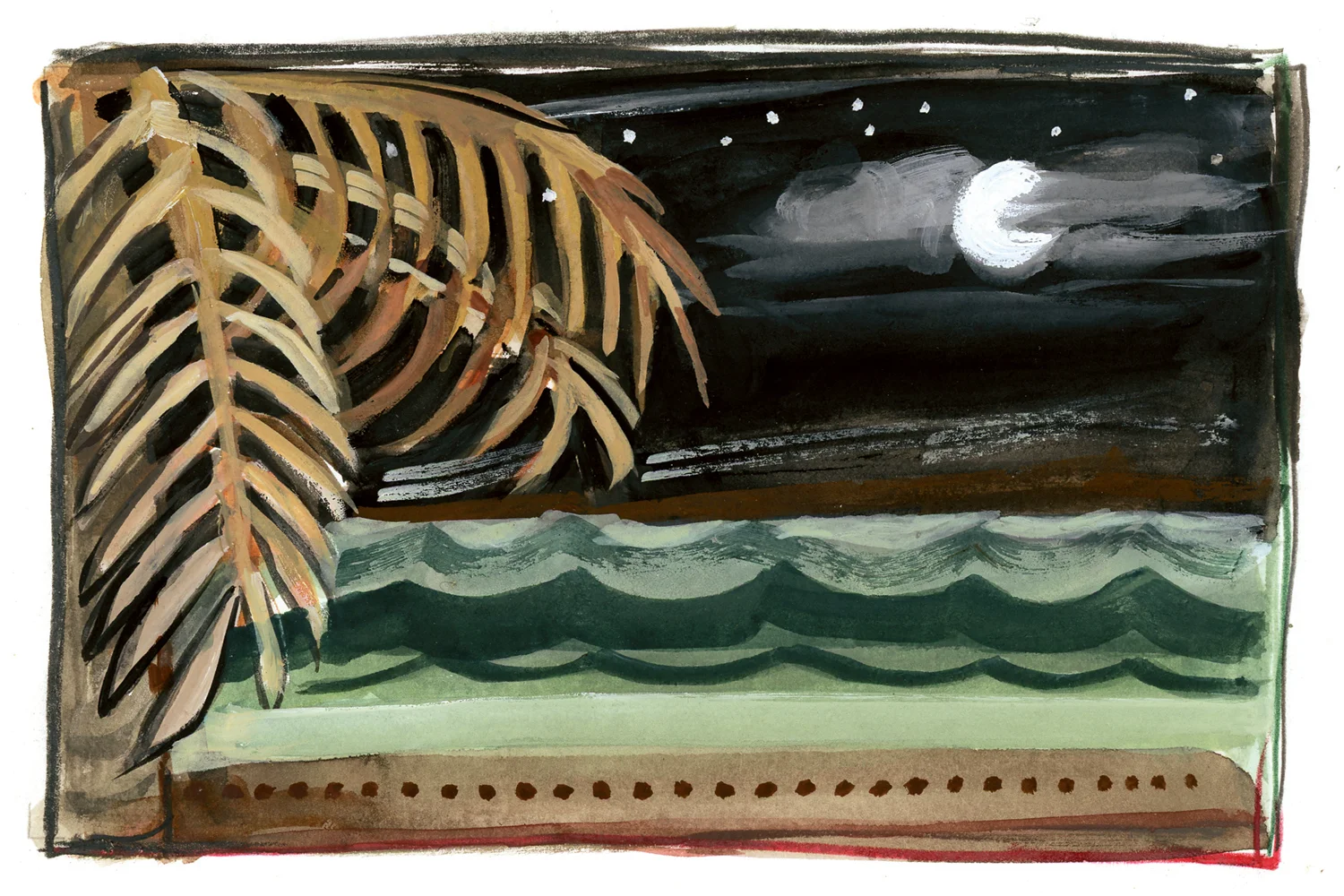 Full Moon and Palms