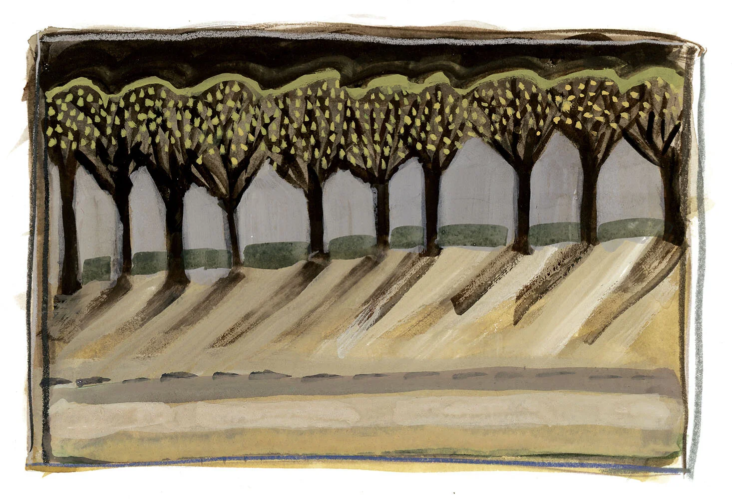 A Line of Trees, Late Afternoon