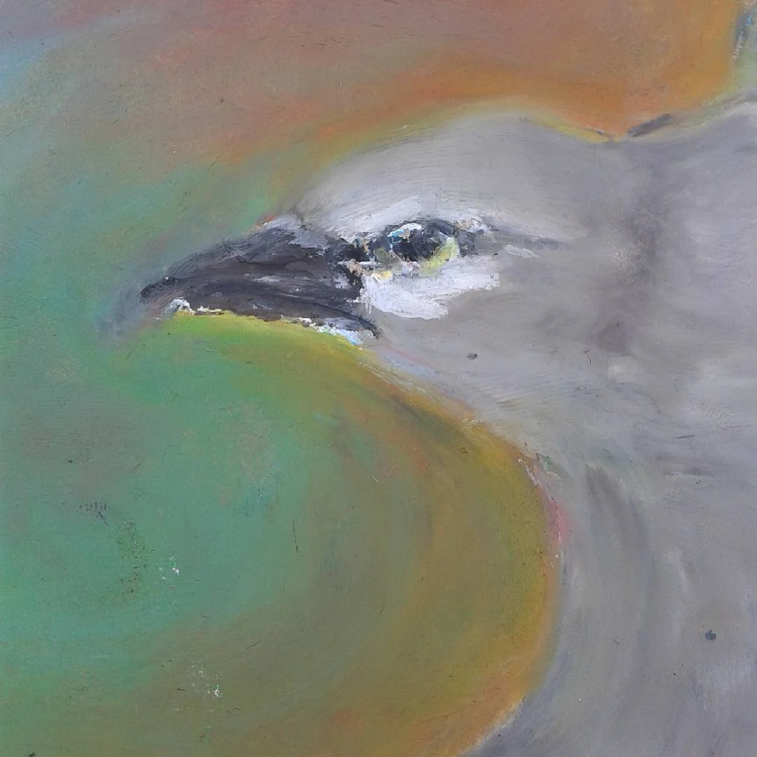   Mortimer  (detail)  Oil pastel  19”x15” 