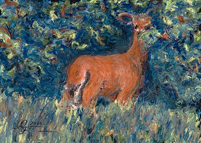   Unperturbed   Oil pastel on sanded paper  7”x5” 