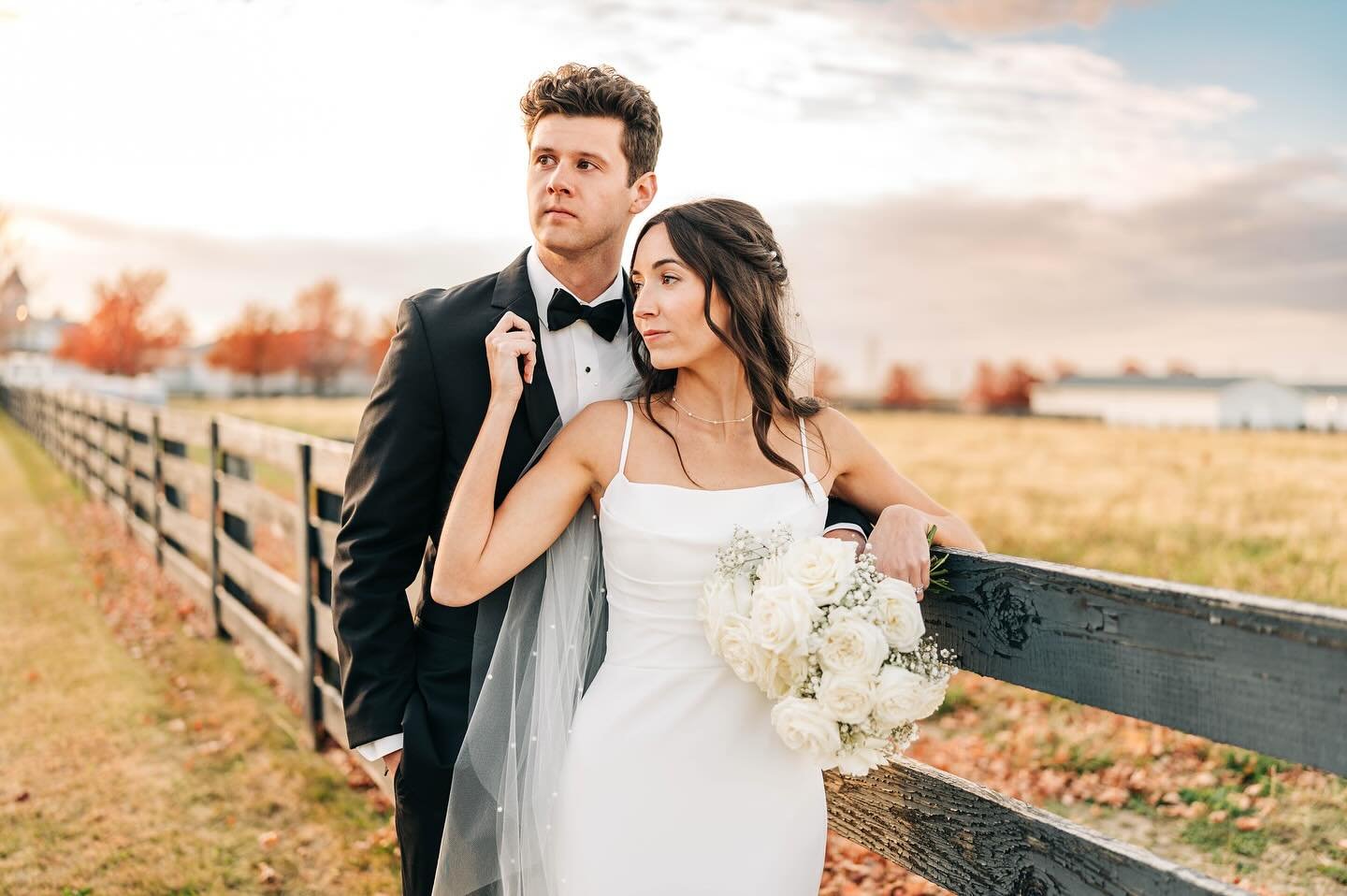 In the editing groove this week, still working through this gallery but had to share a favorite