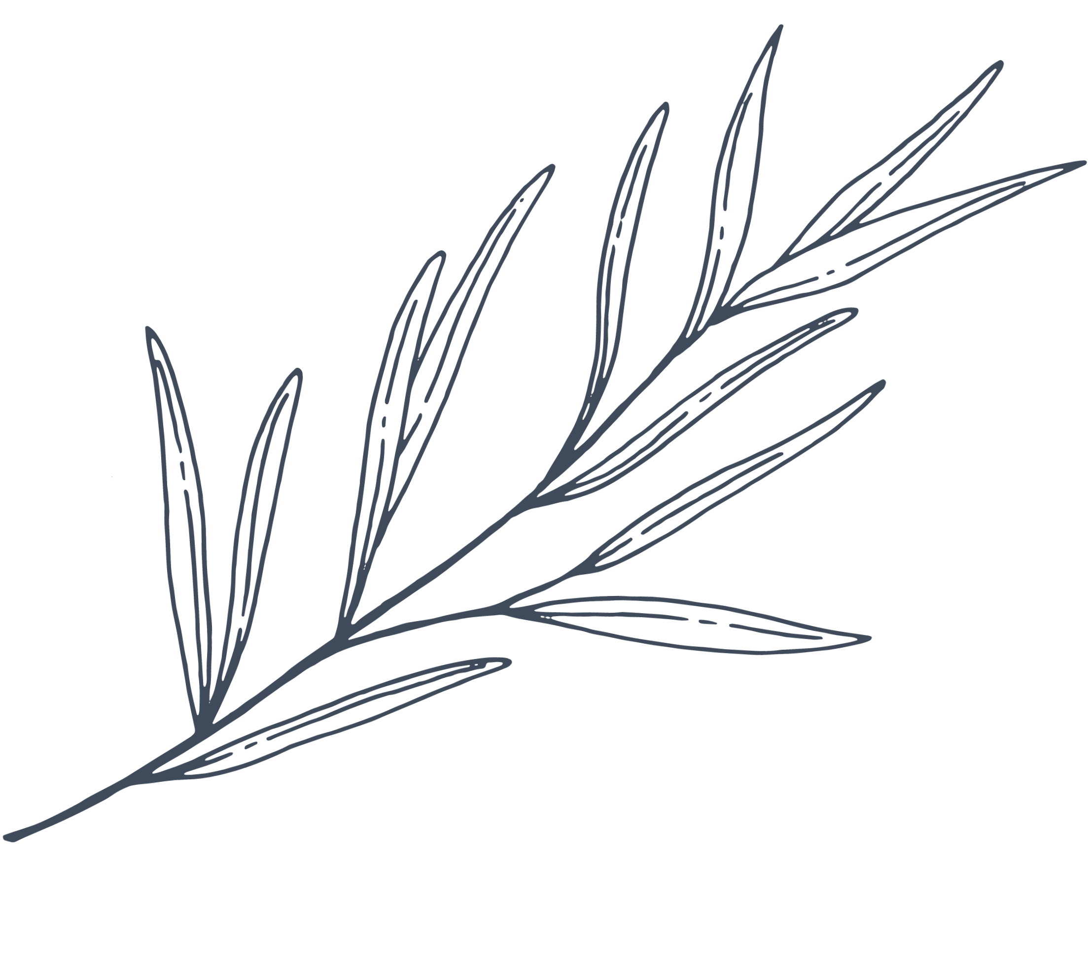 decretive olive branch