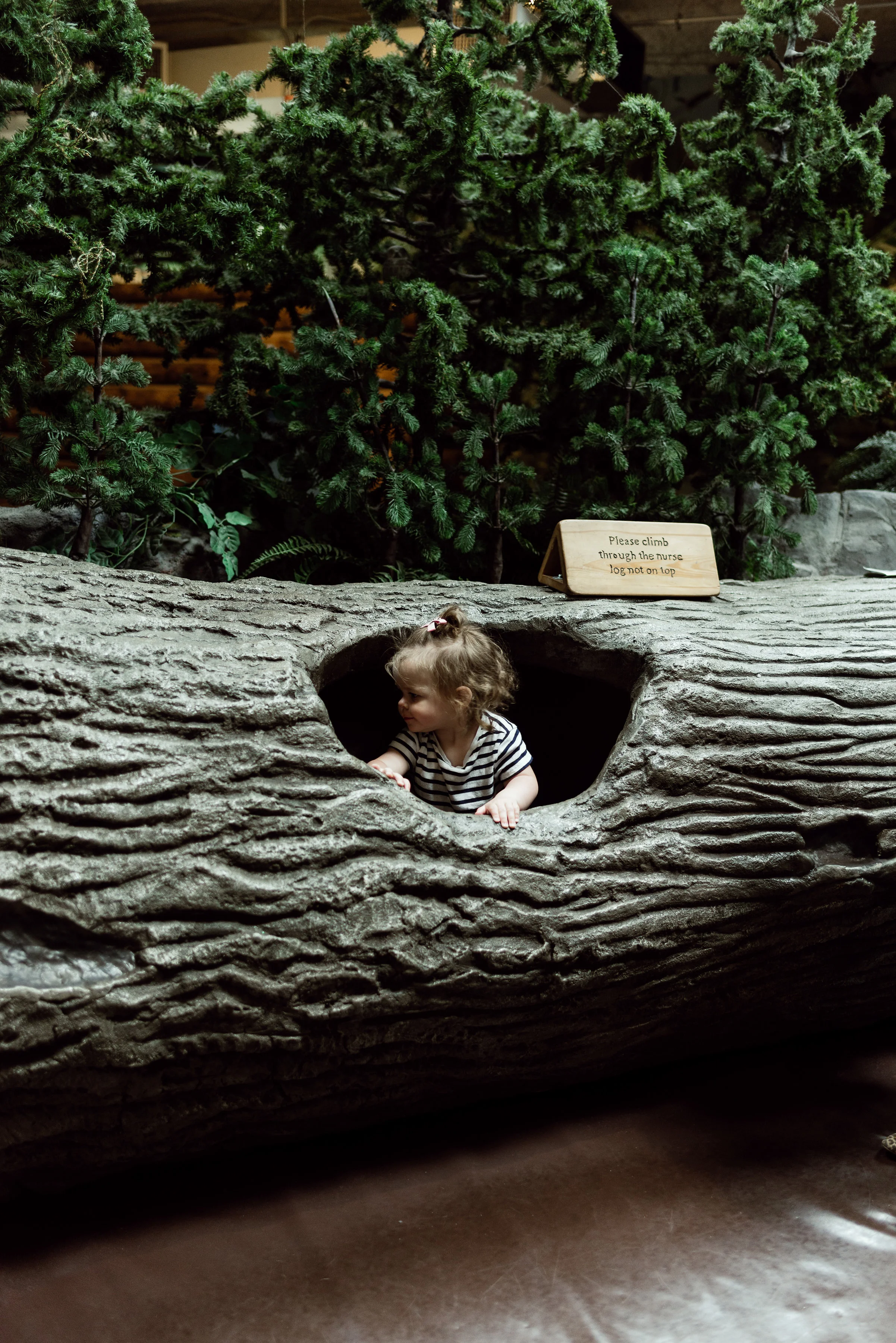 curiosity image 12.jpg