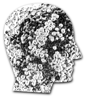 clusterhead1.gif
