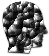 clusterhead2.gif