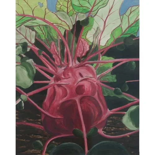 Kohl Rabi: acrylic on French paper 18"x24"