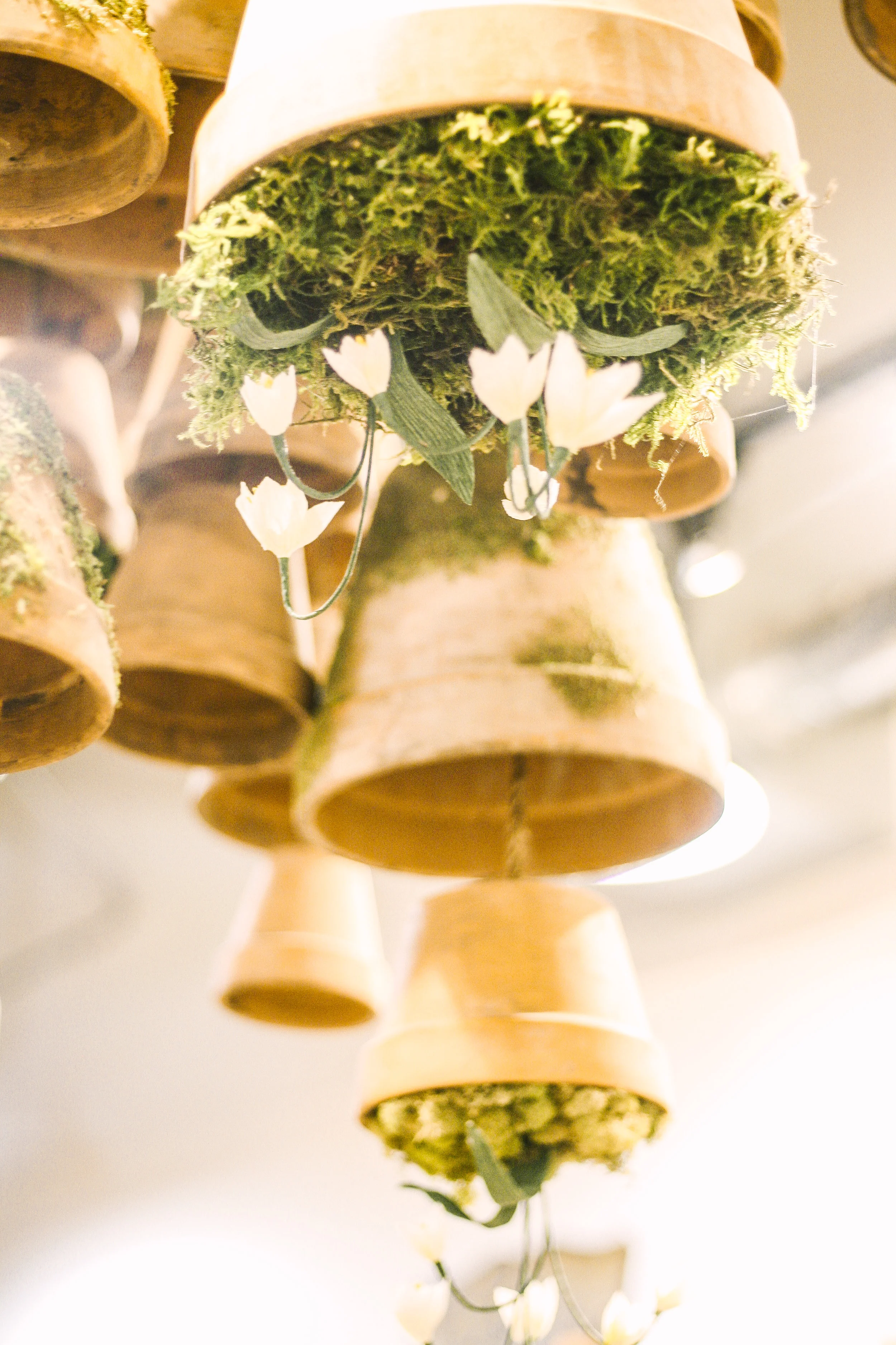 Magnolia Market Waco TX.jpg