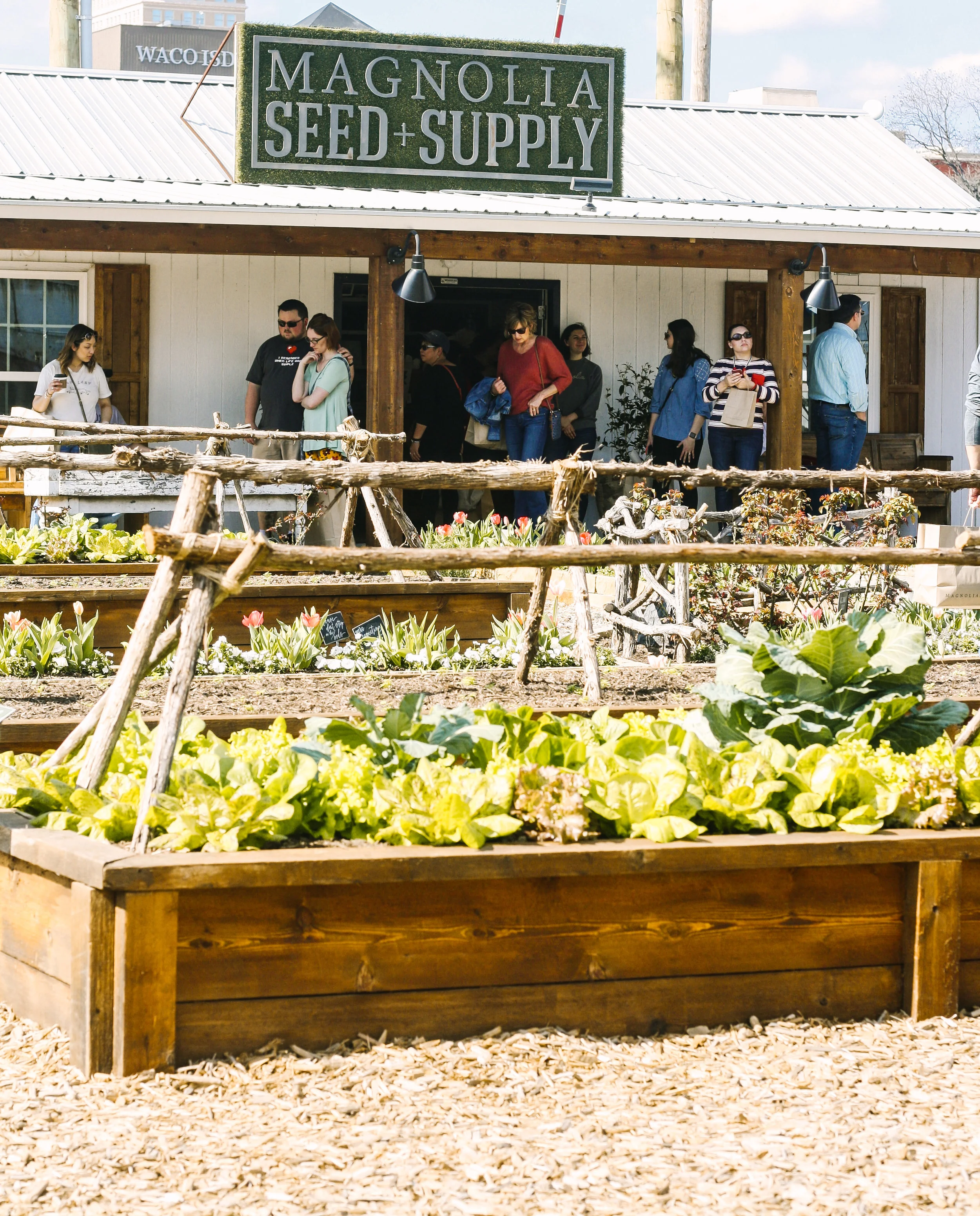 Magnolia Seed + Supply.jpg