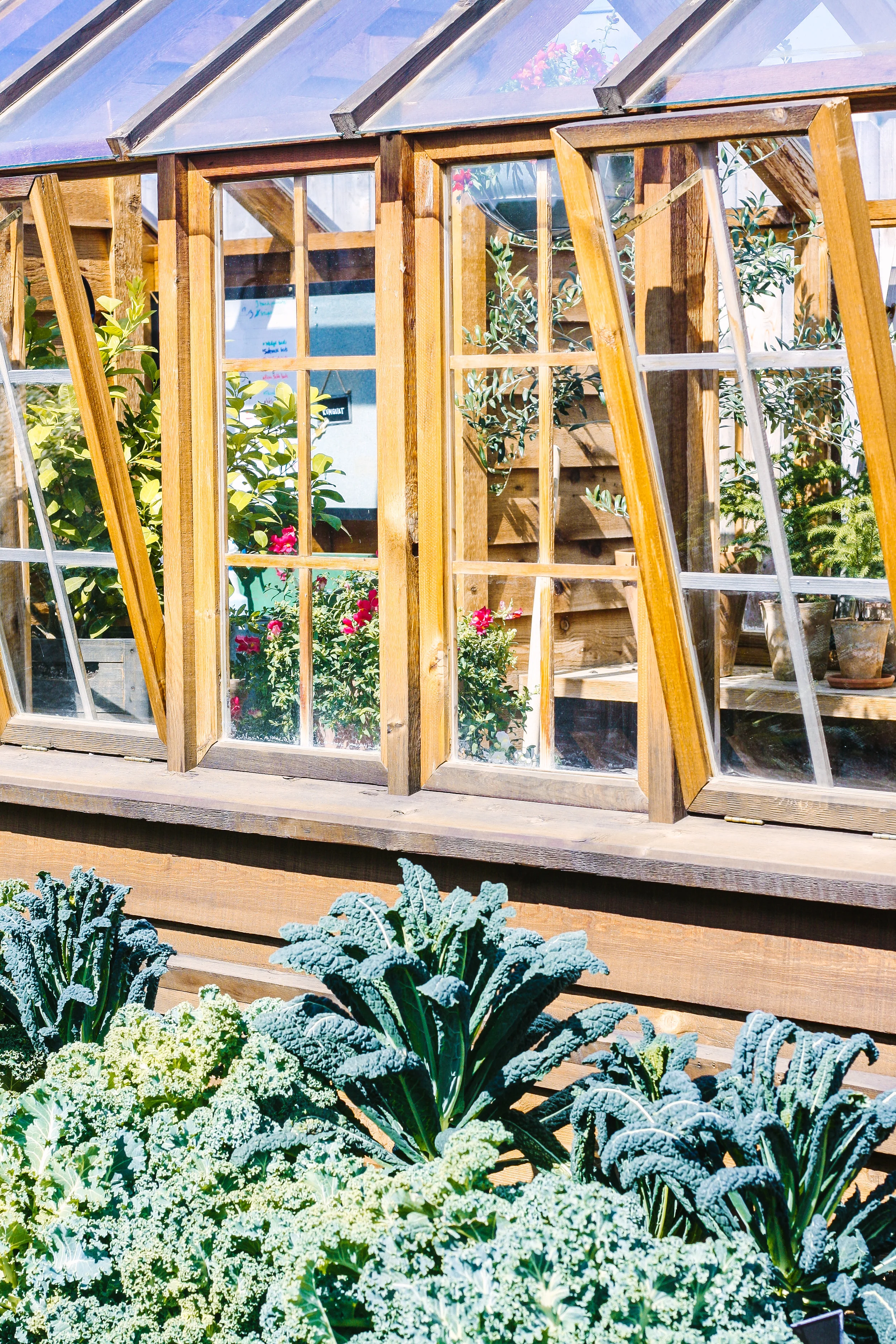 Magnolia Silos Greenhouse.jpg