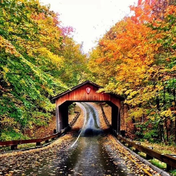 Spire & Co Fall Bucket List: Road Trip.jpg