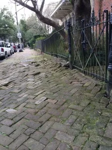 Photo: From yesterday in the Garden District.