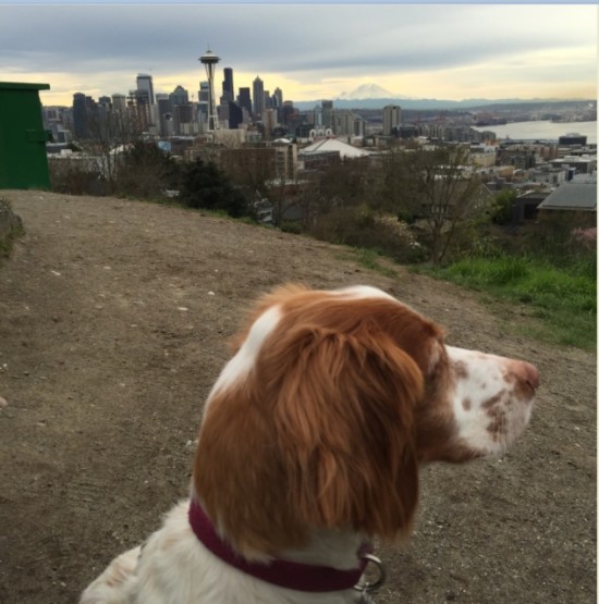 Photo: Nala and the reason running helps with thinking things through