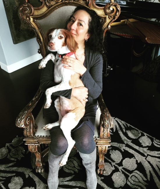 Nala the Brittany