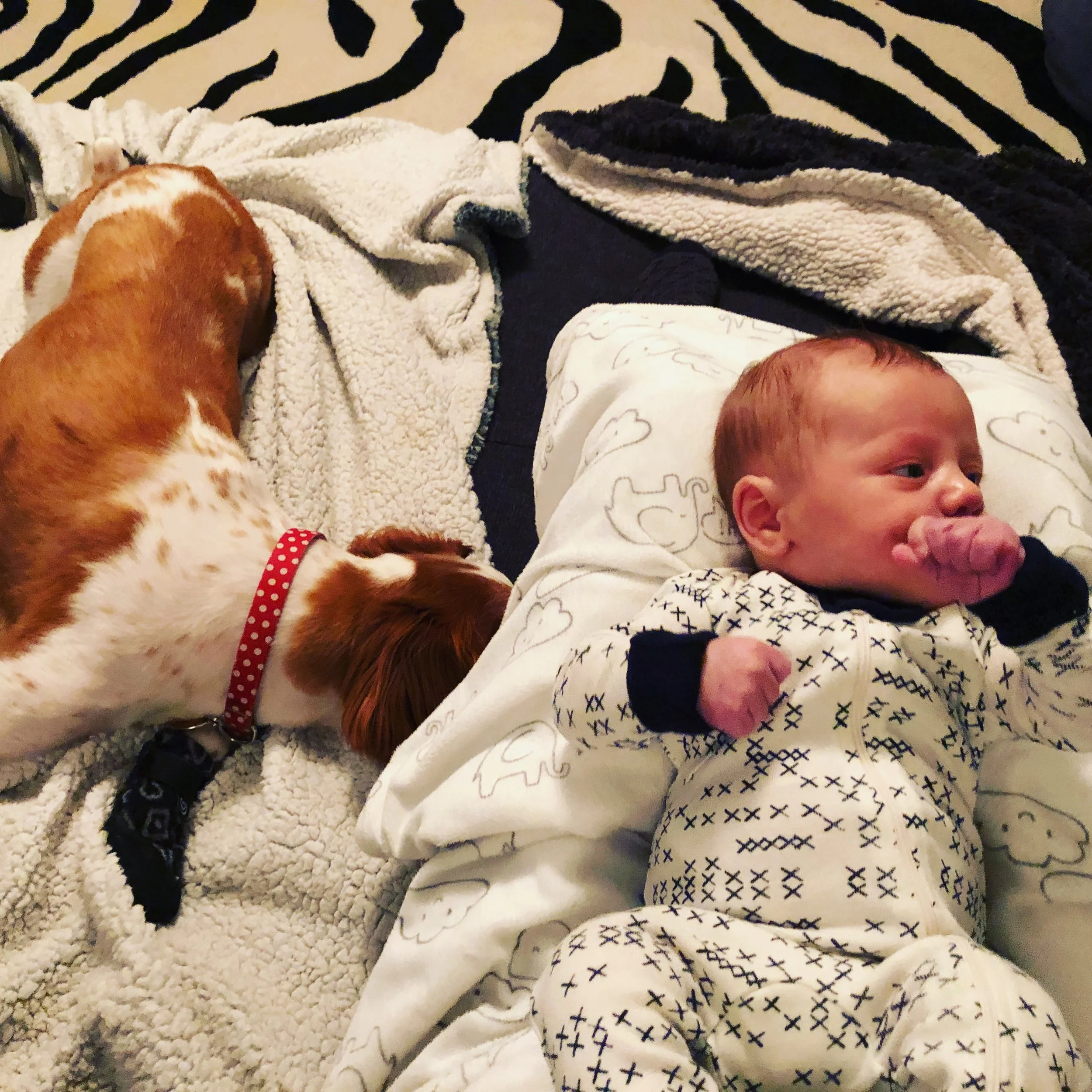 How Not to Depose 54 Defense Expert Witnesses