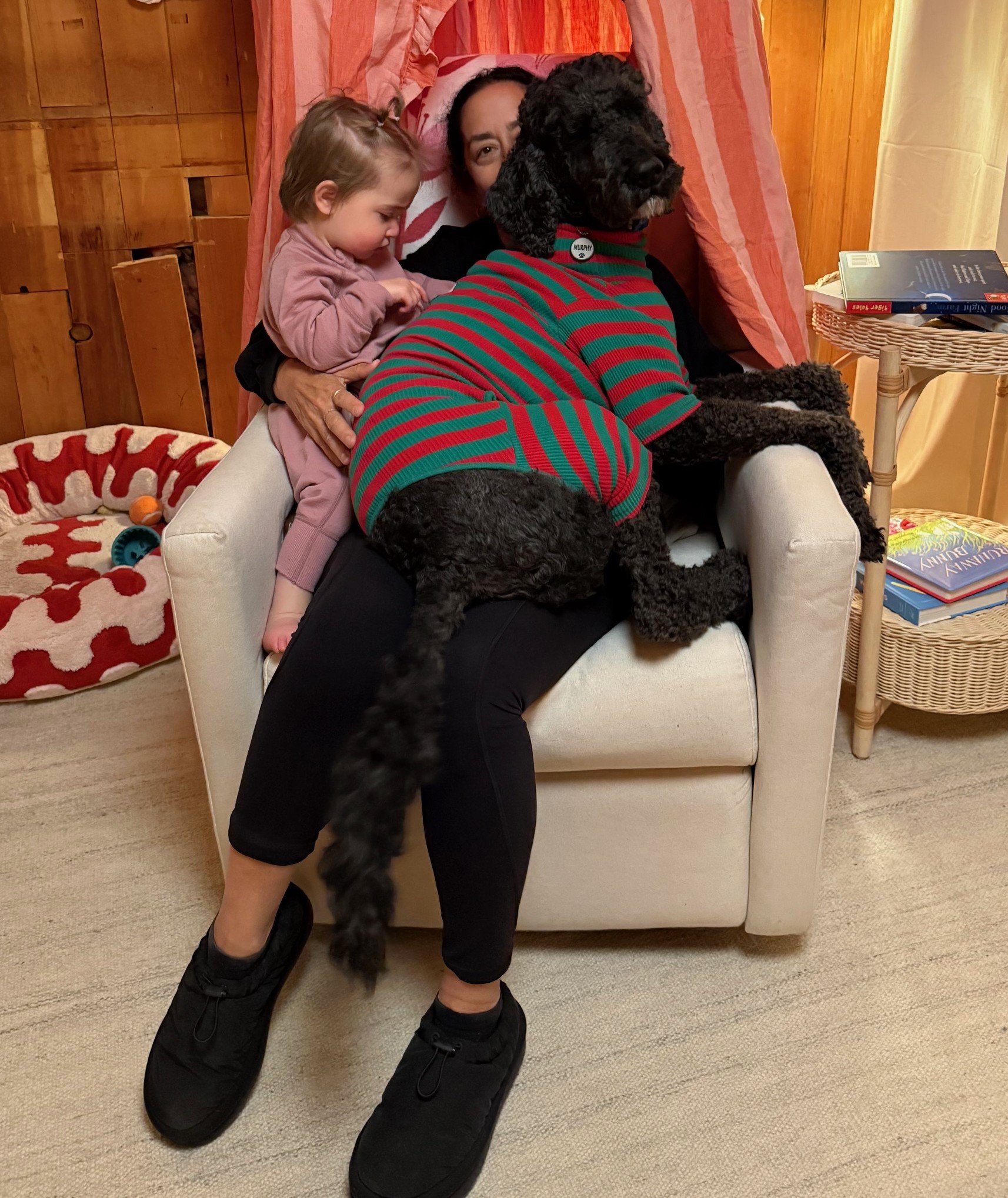 Trial prep: anticipating the enemy