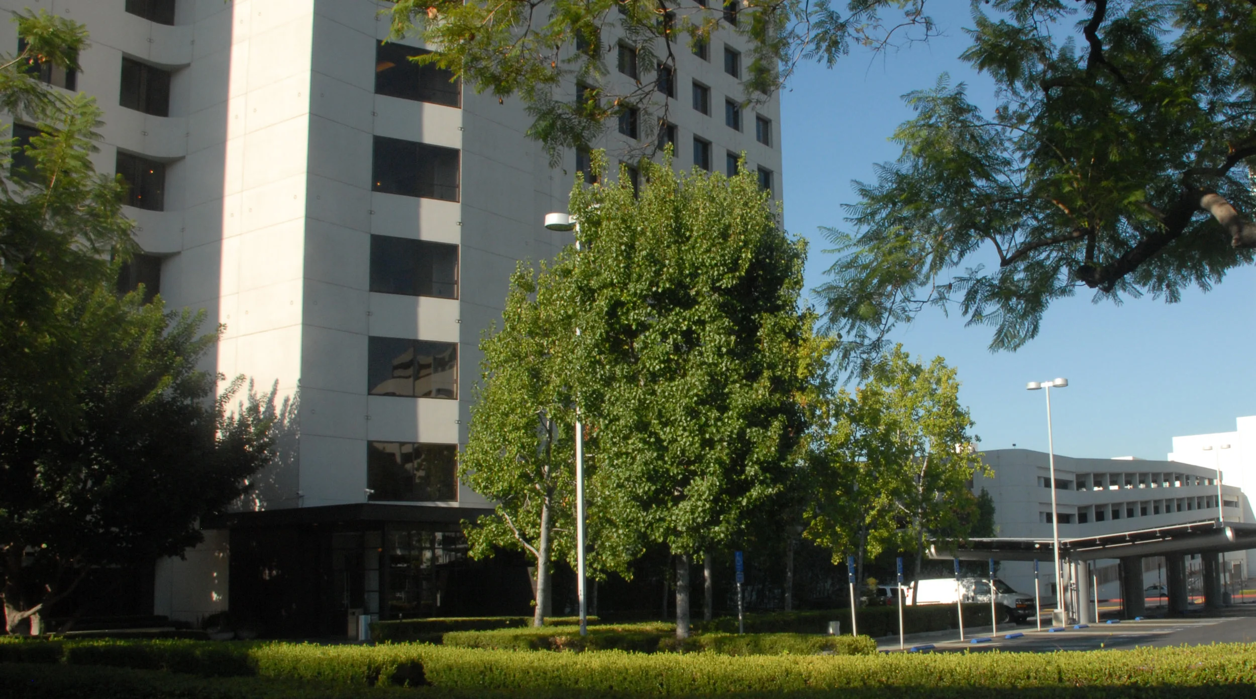 AAA_0117 cropped.jpg