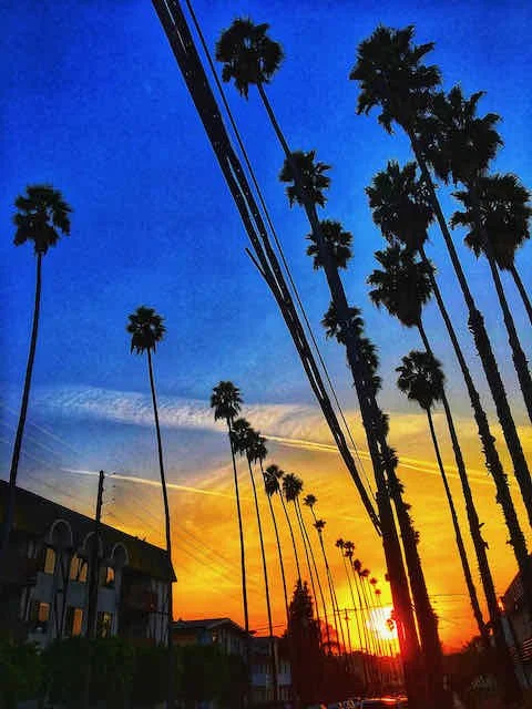 Hollywood Sunset
