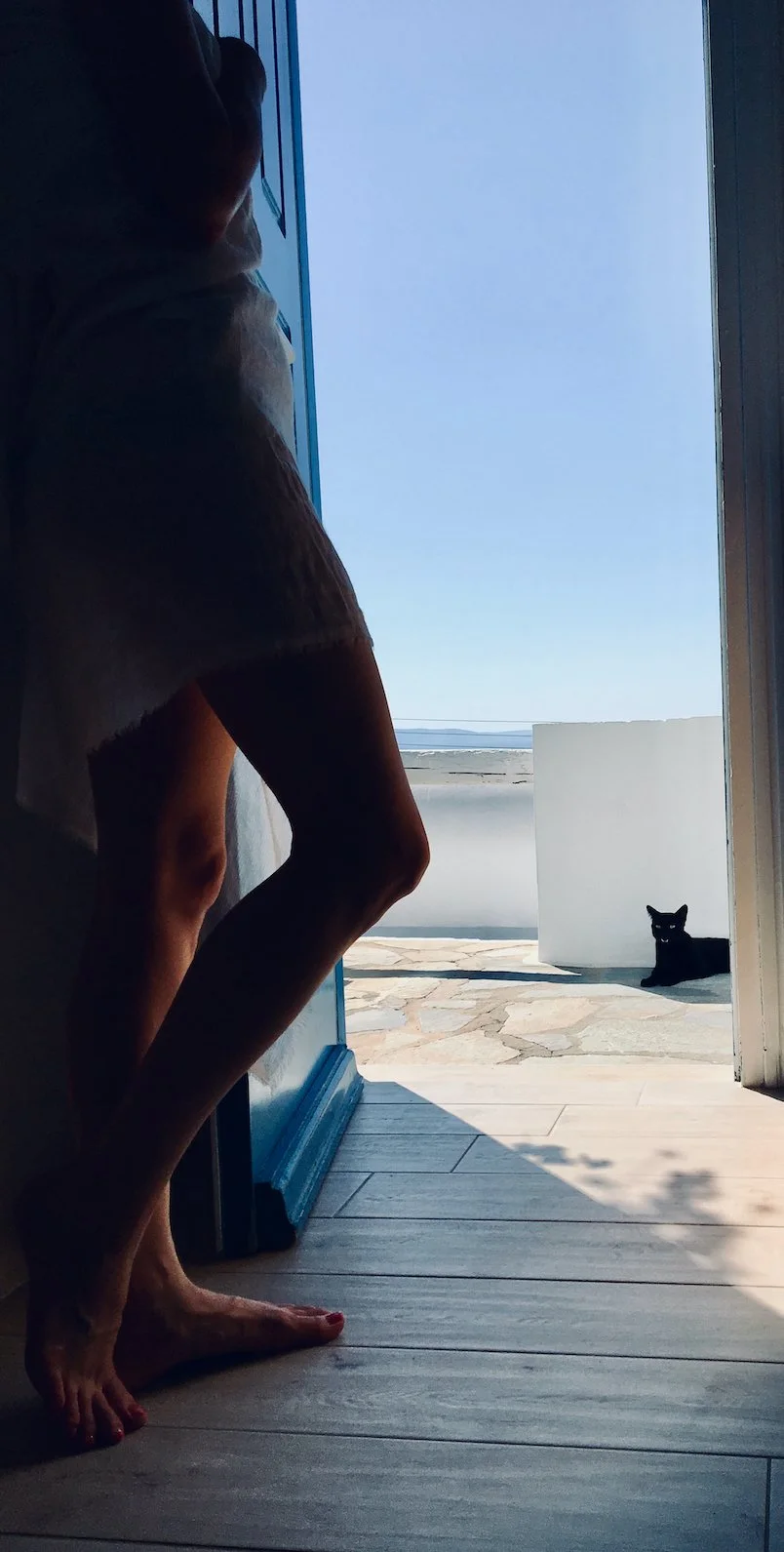 Morning Hello in Mykonos .jpeg
