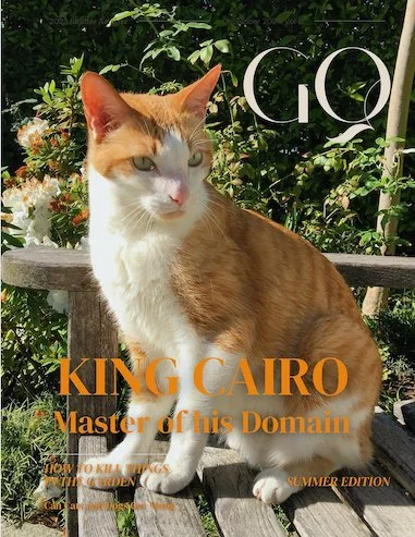Cat GQ cover.jpeg