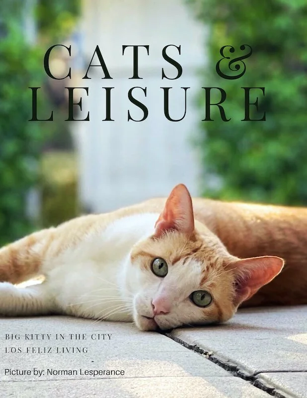 Cats and Leisure.jpeg