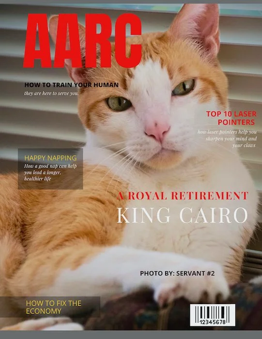 AARC Magazine Cover.jpeg