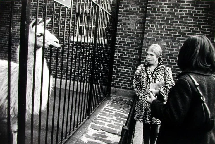 Garry Winograd, 1965