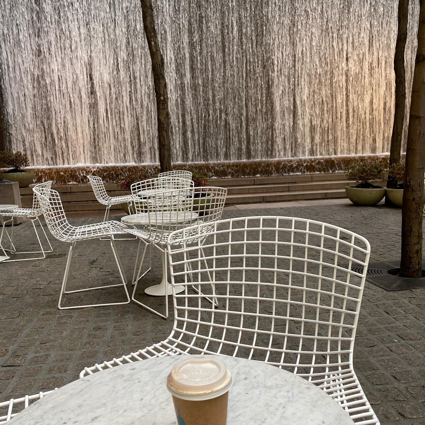 Morning coffee pre-MoMA tour