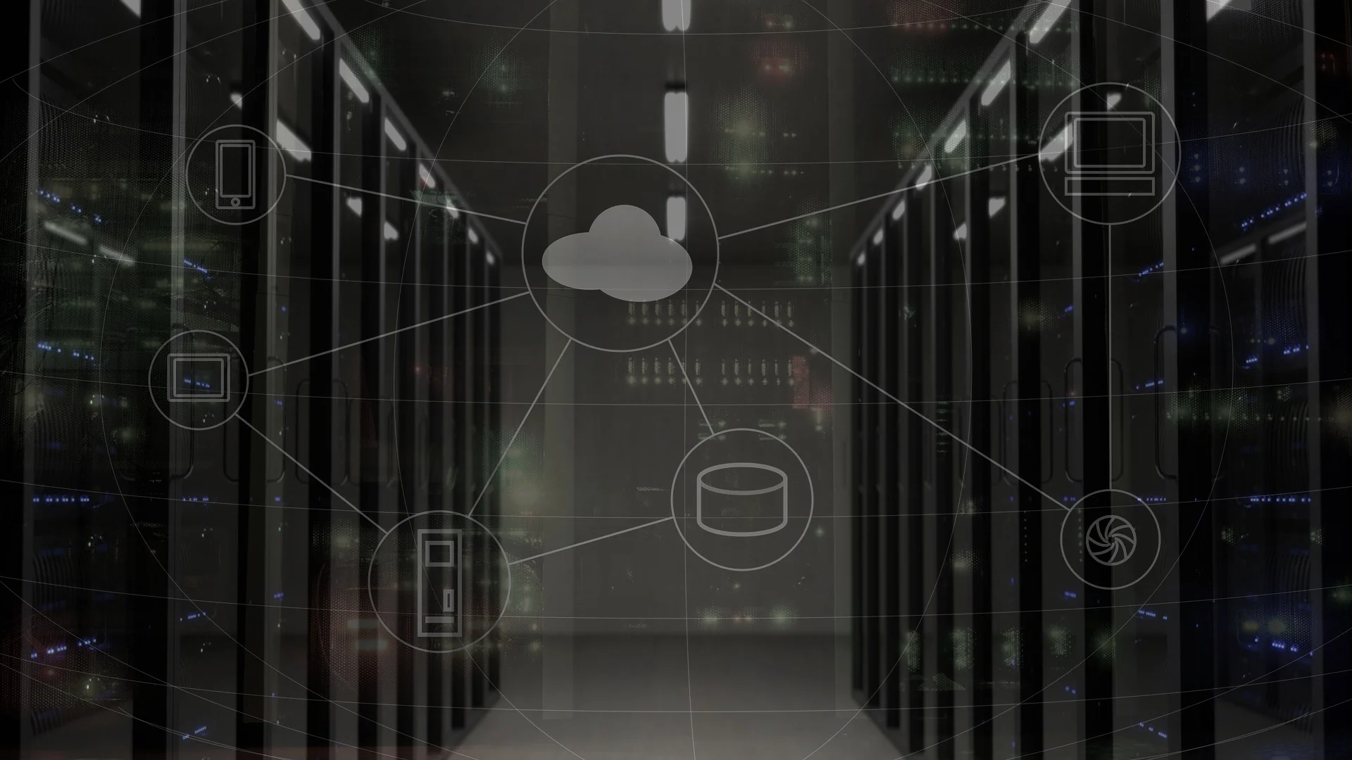 network-2402637.jpg