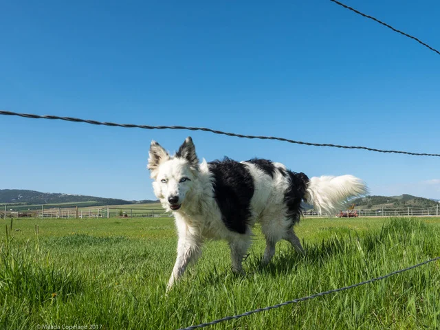 Foundation Frenzie Half-Day Workshop