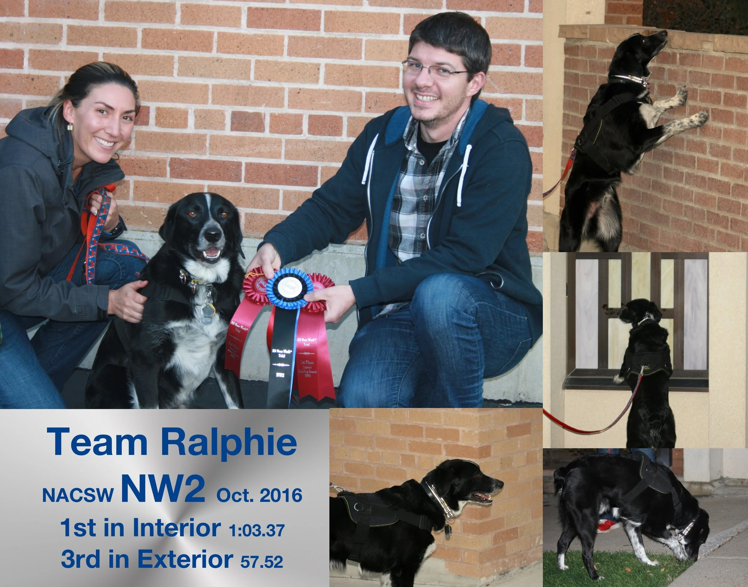 Ralphie NW2 Collage.jpg