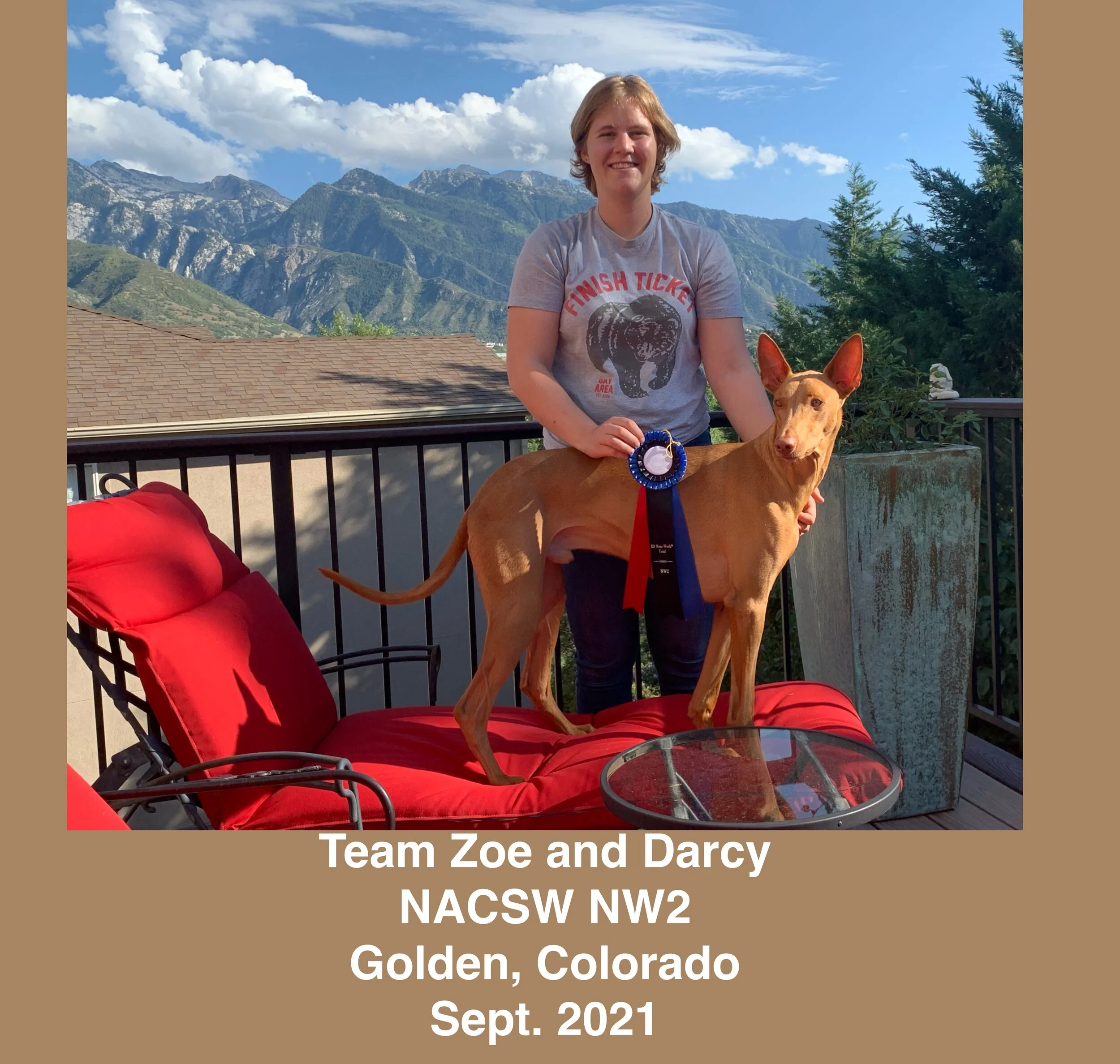 Darcy NW2 for Kim's website.jpg