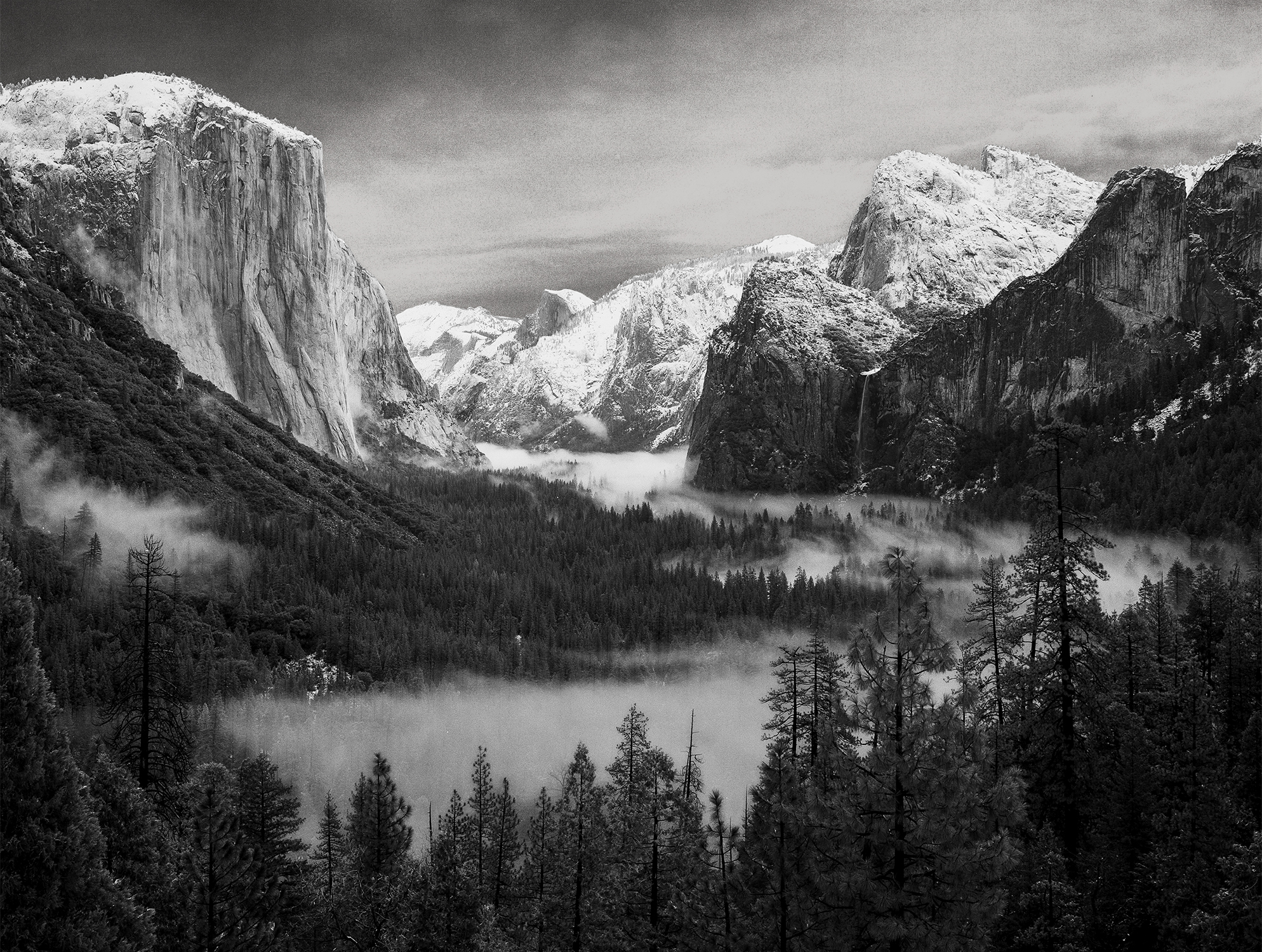 YOSEMITE 1.jpg