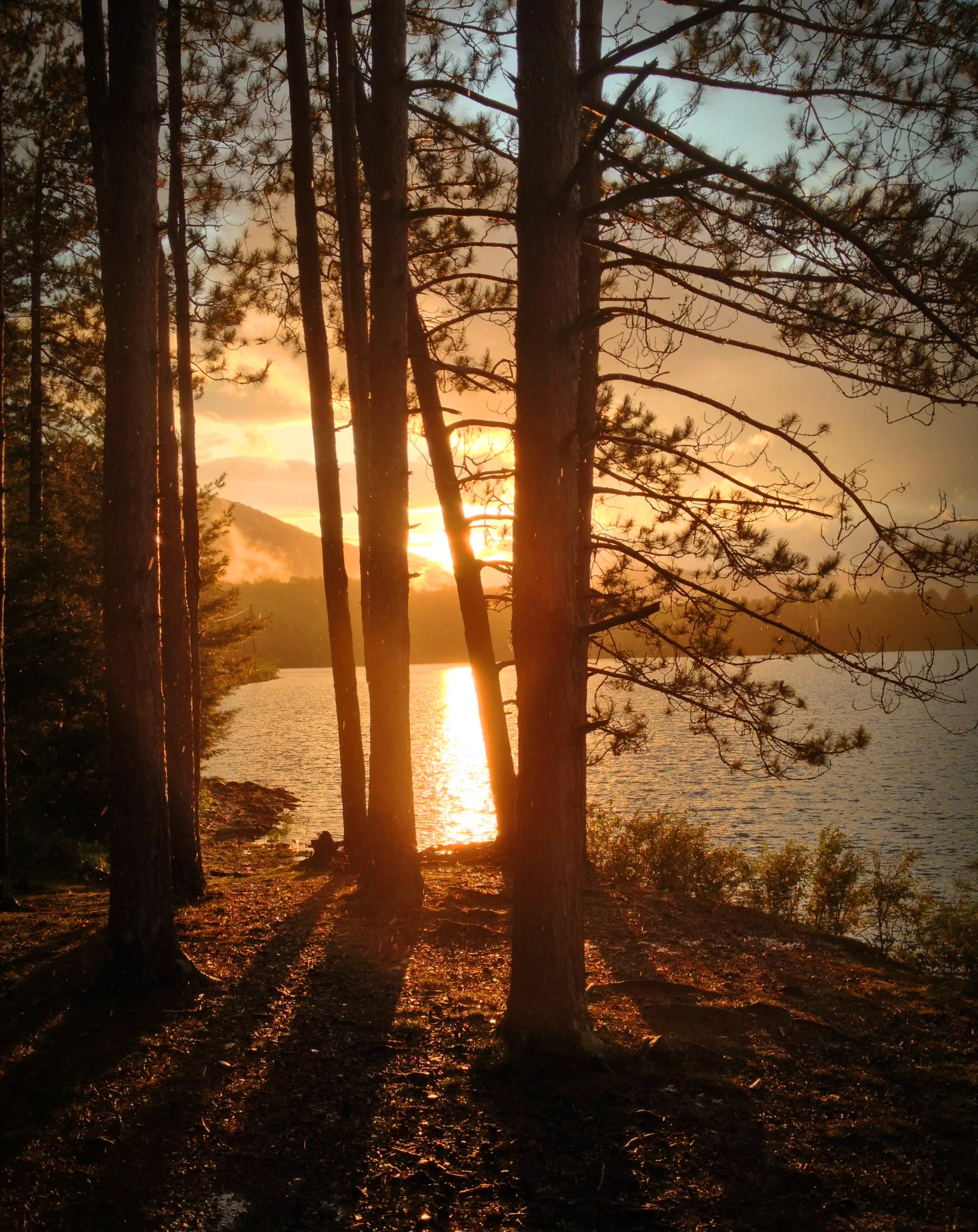 Sunset.jpg