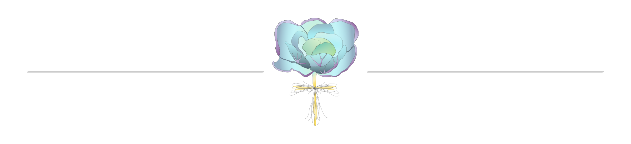 LMI Logo Artboards Sm Roots Rasterize Web_Logo Line Break.png