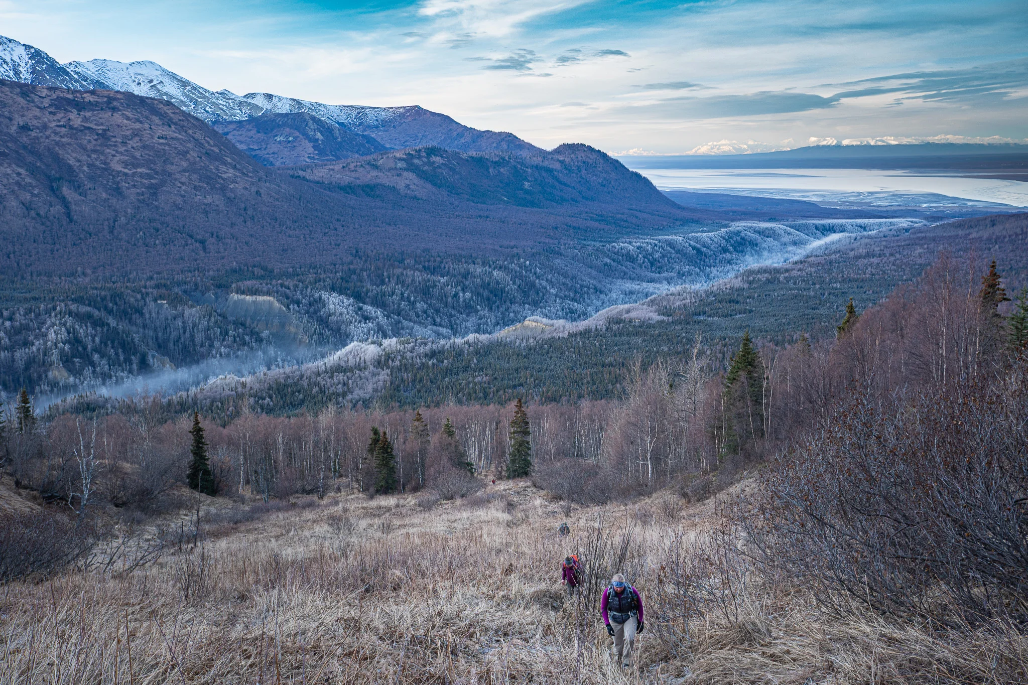 Broken Is Not All I’ll Ever Be: Military Veterans and Psychiatric Drugs