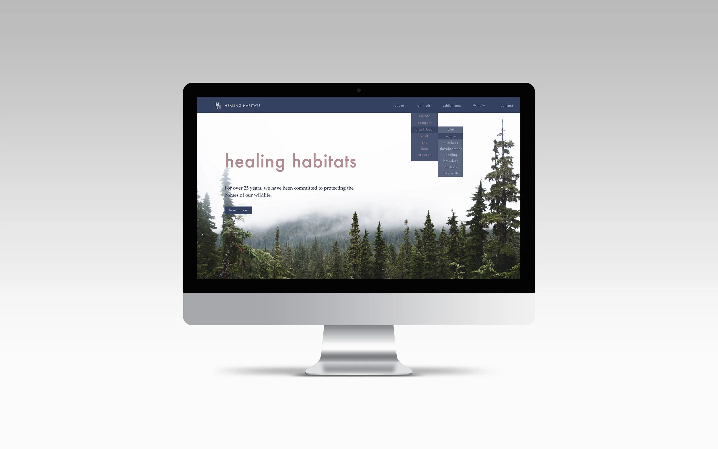 Website.jpg