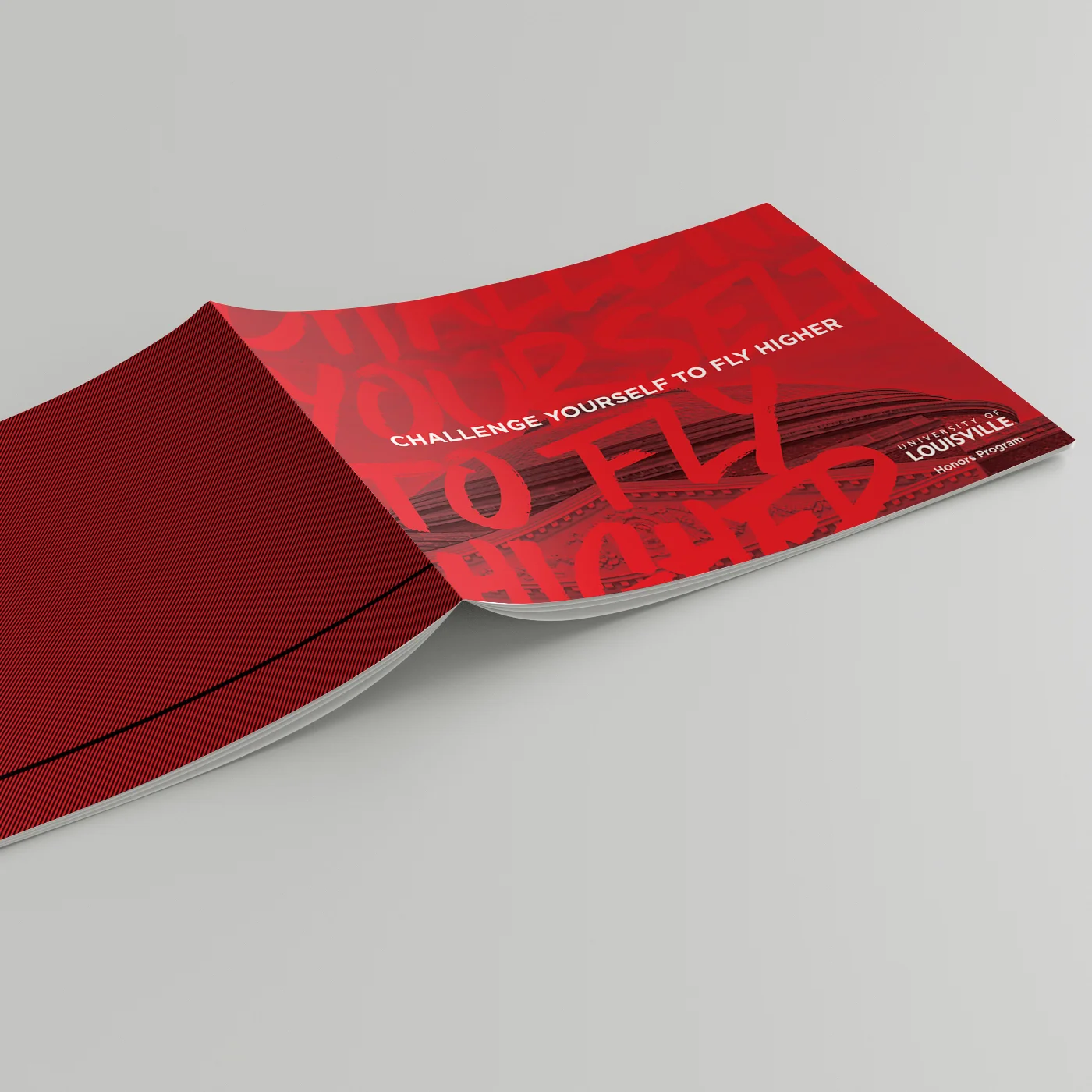 Chen_Brochure.jpg