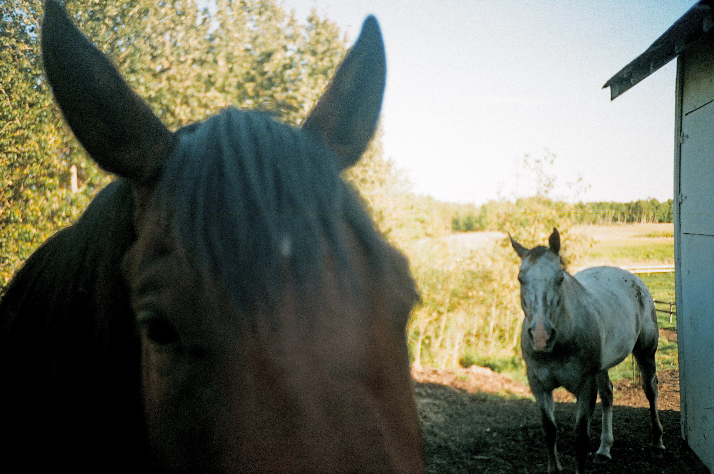 0019_7A 3.jpg