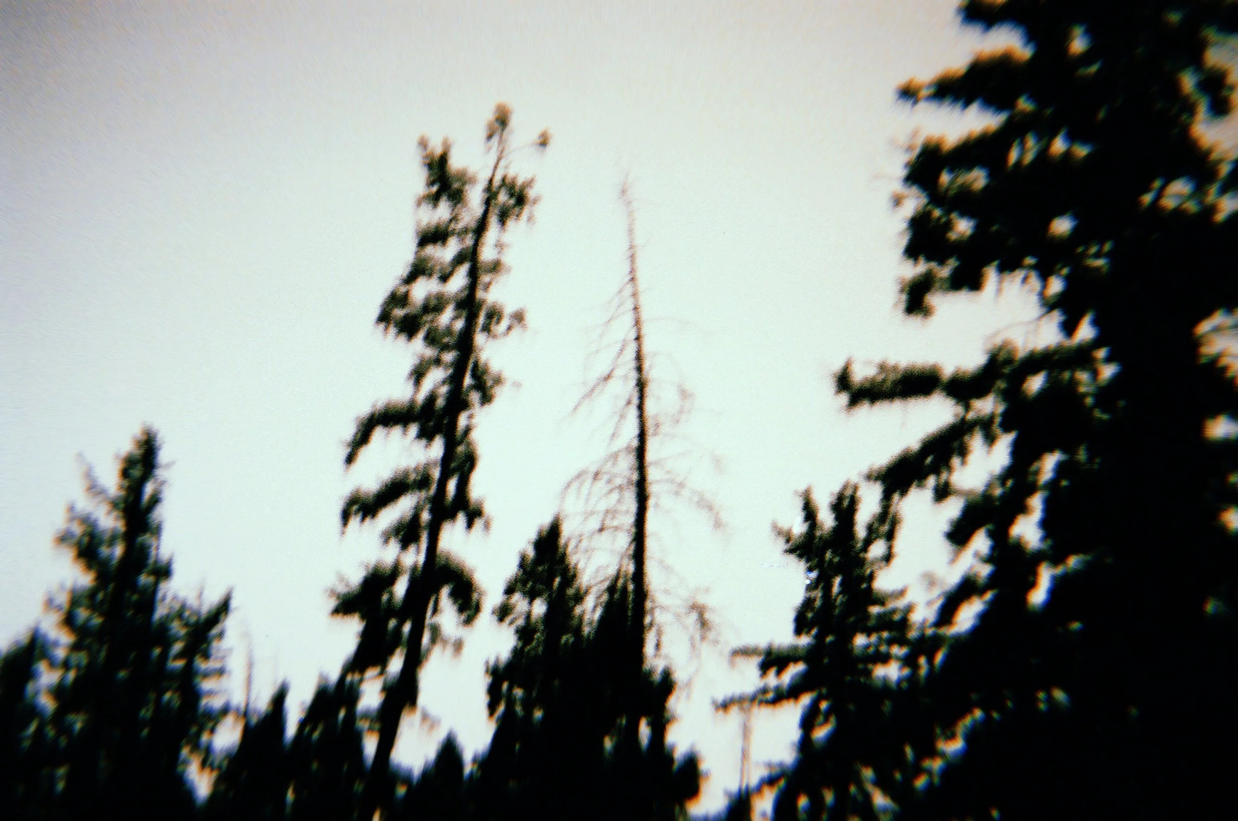 20091025_072527000_iOS.jpg