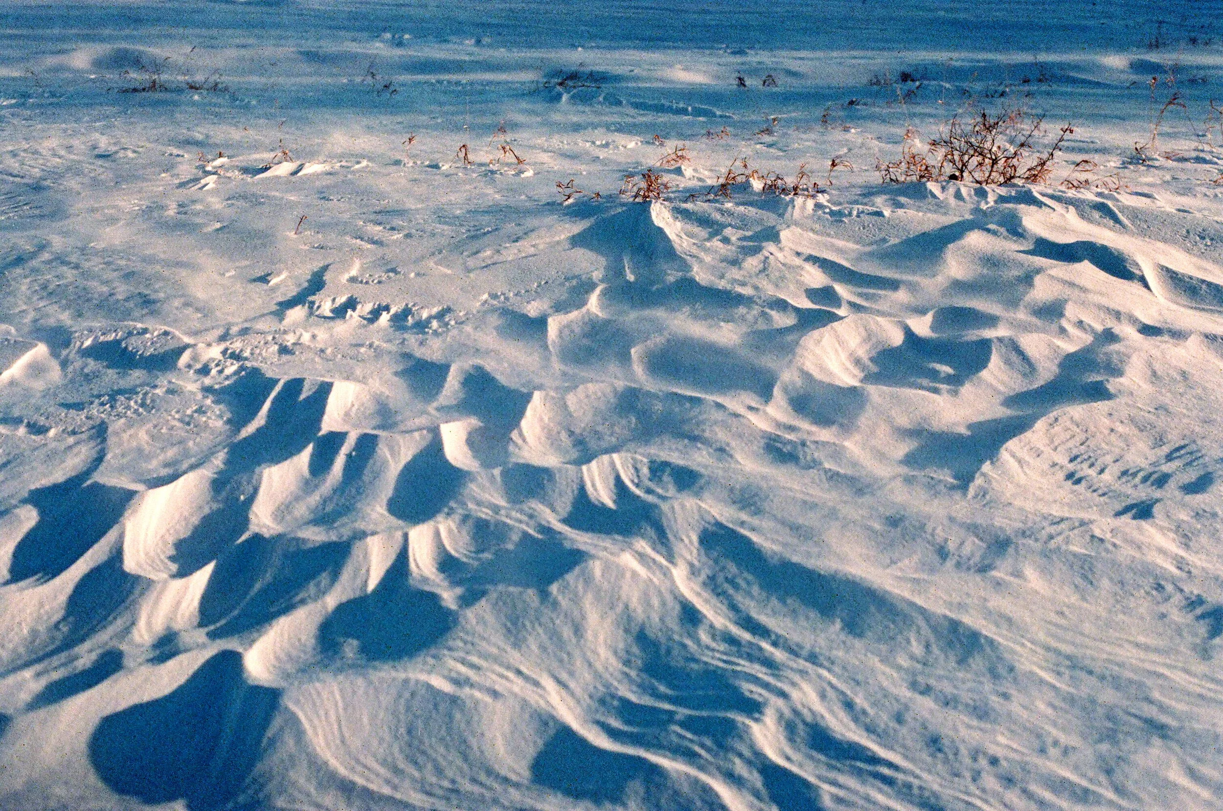 5499795601_e3f010bfa6_o (1).jpg