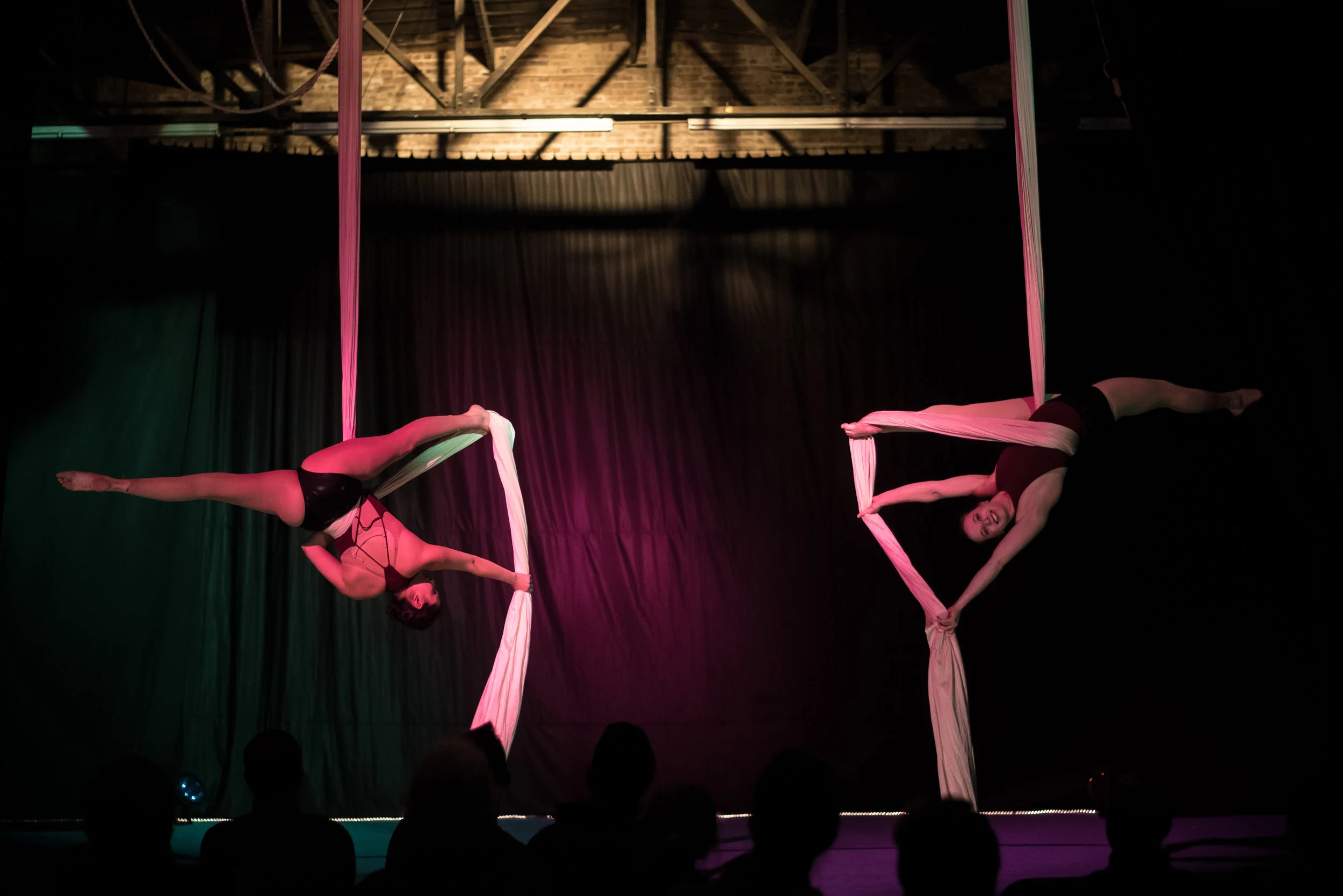  Photo by MReid Photography 