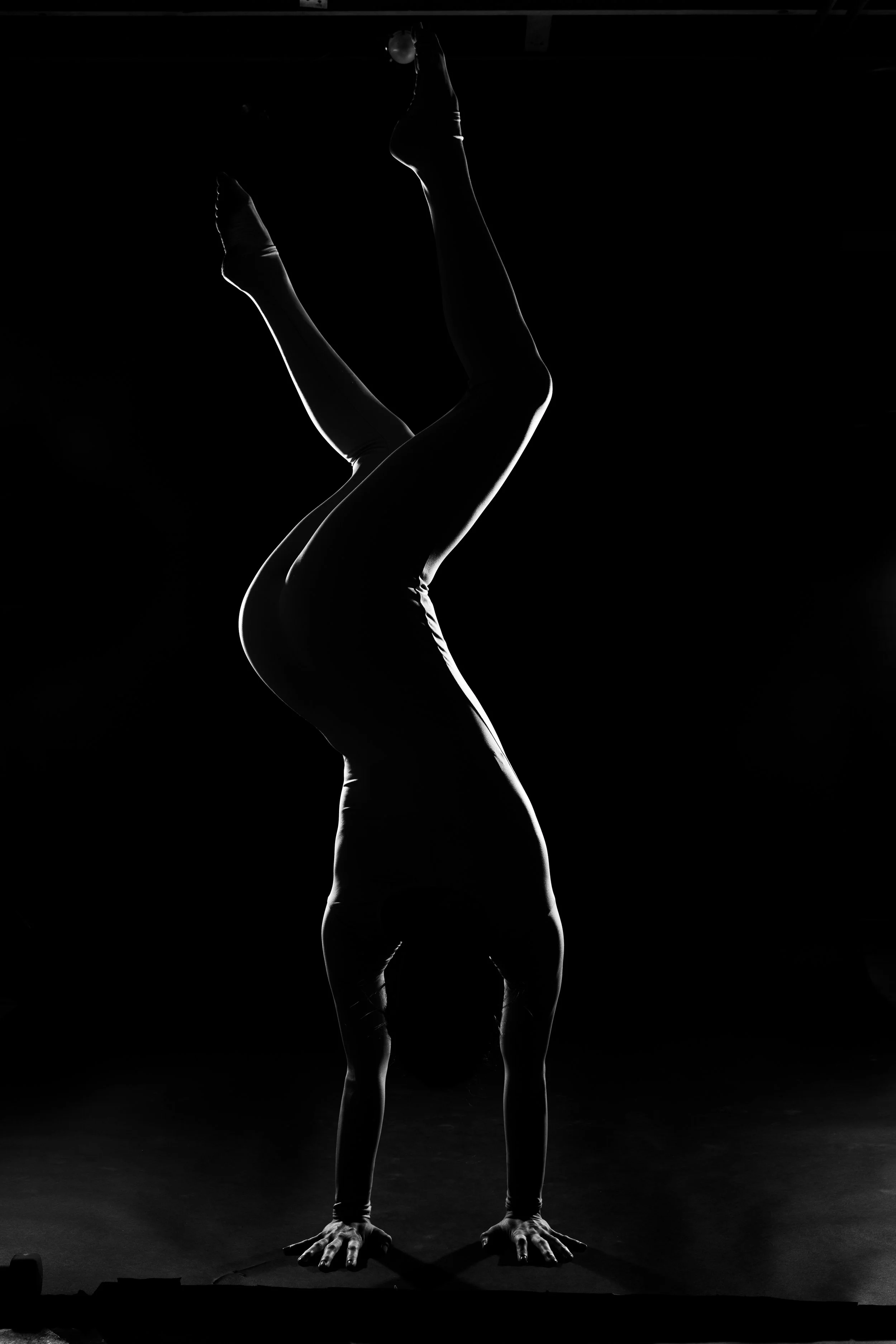  Photo by Brian Gray, 2021 