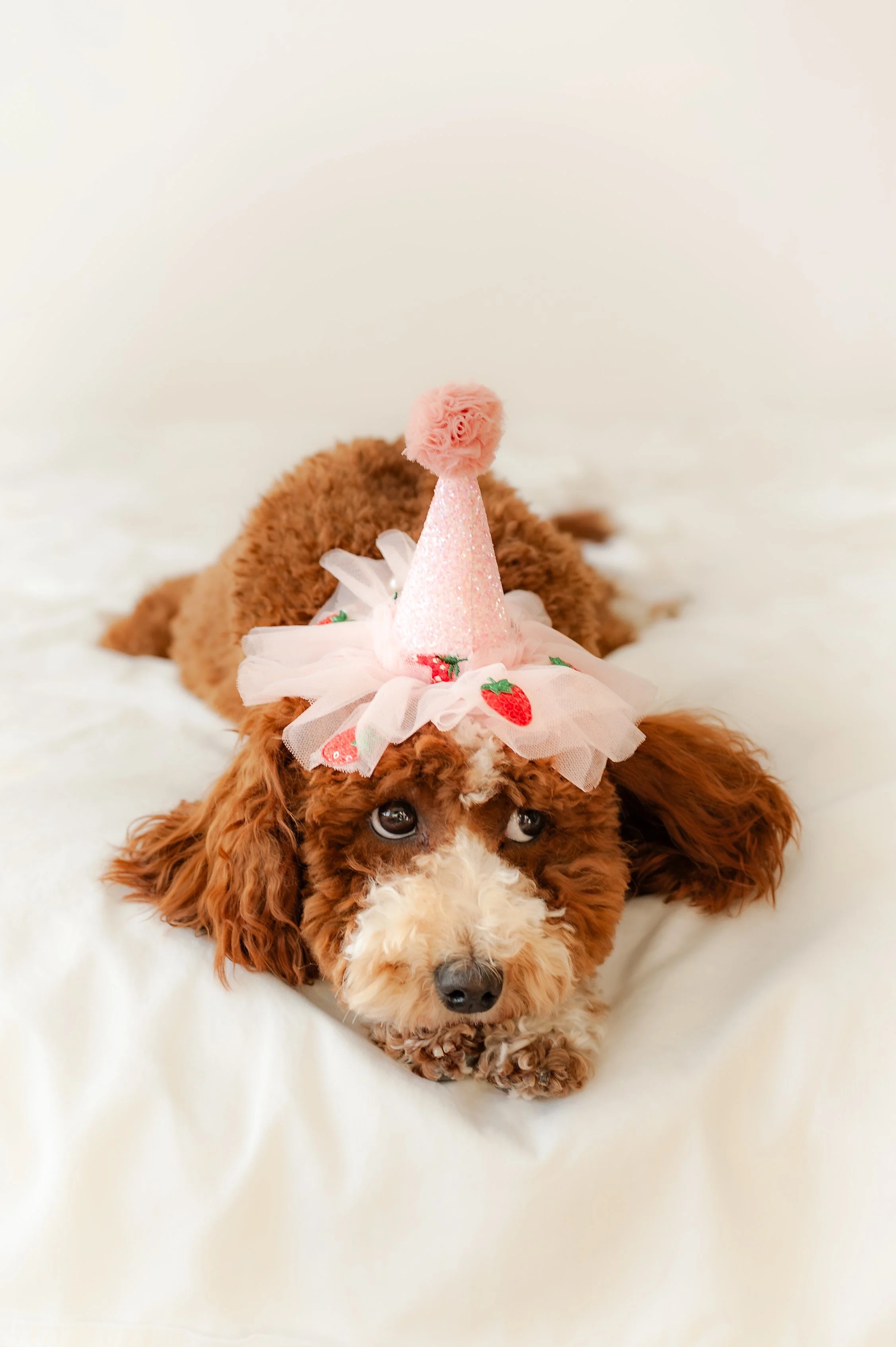Olivias_Bday_KatieColePhotos (1 of 1)-4.jpg