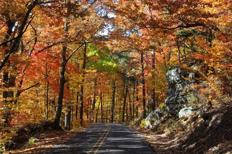 fall.jpg