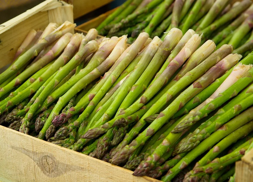 ASPARAGUS.jpg