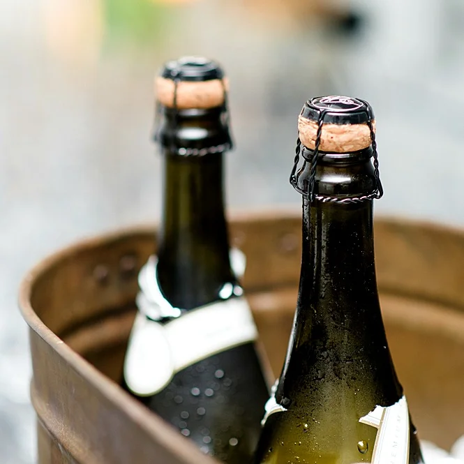 champagne in tub.jpg