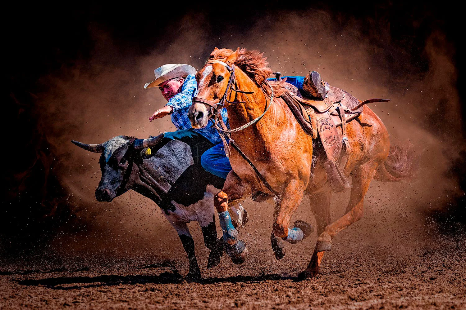Steer_Wrestling_Champion.jpg