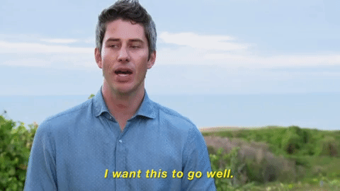 arie8.gif